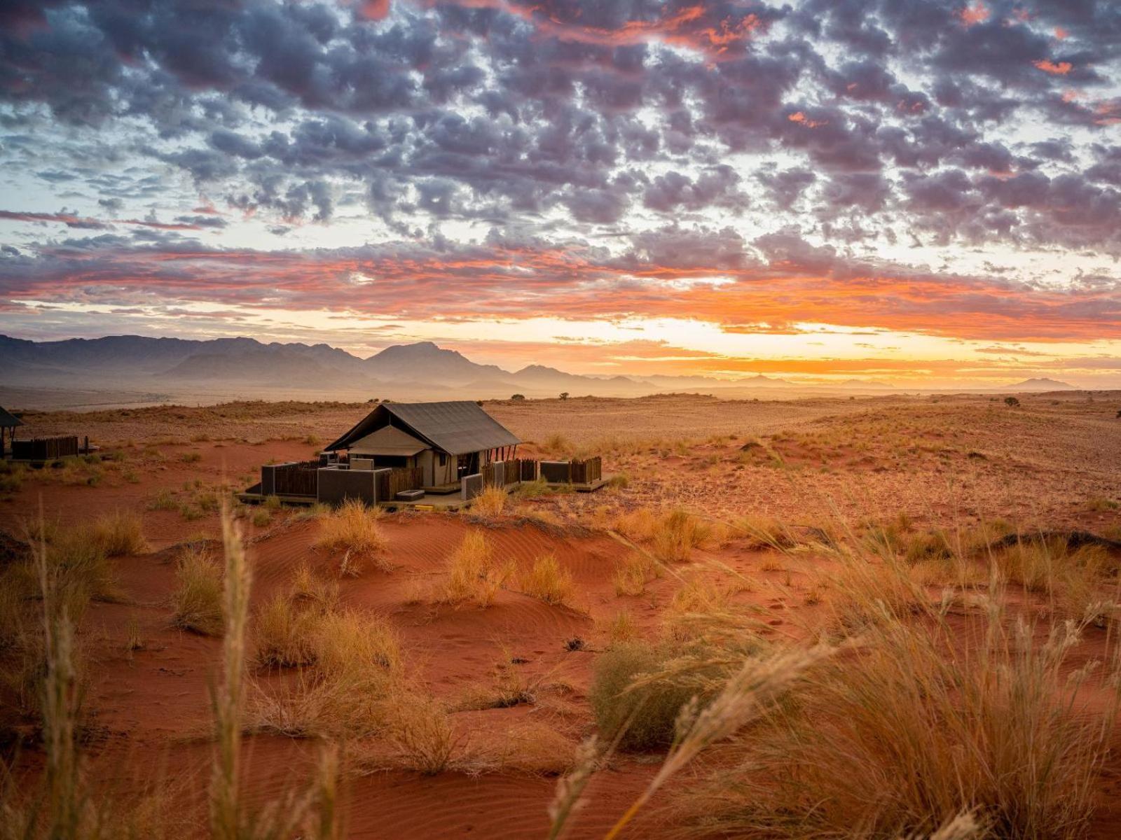 Wolwedans Dune Camp NamibRand Экстерьер фото